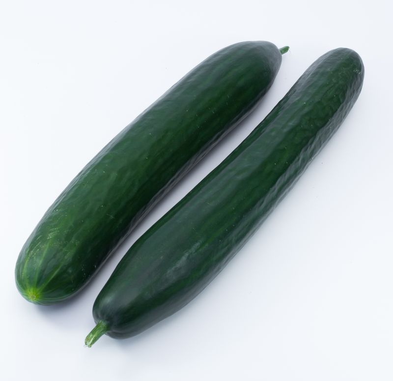 Concombre