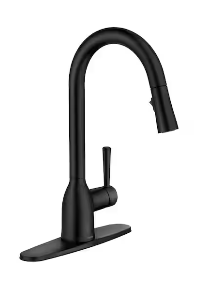 *STAFF PICK* Kitchen Faucet