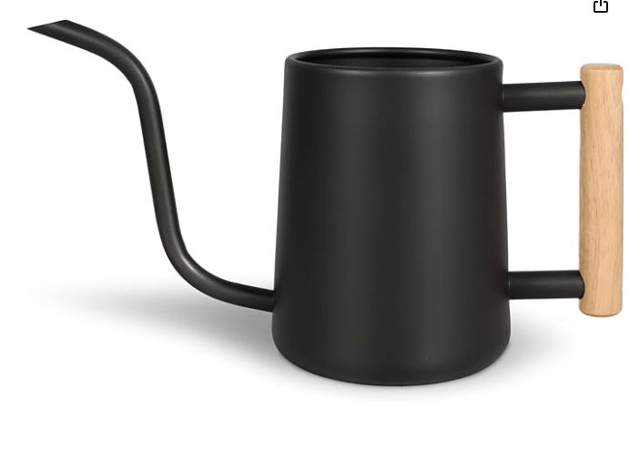 Indoor Watering Can
