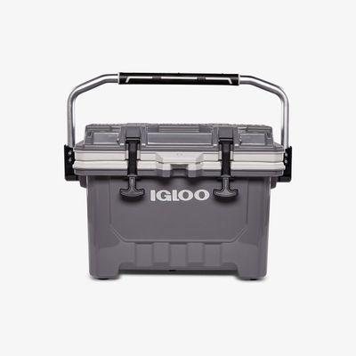 Igloo IMX 24 QT