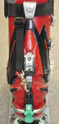 22 Designs Tail Leash