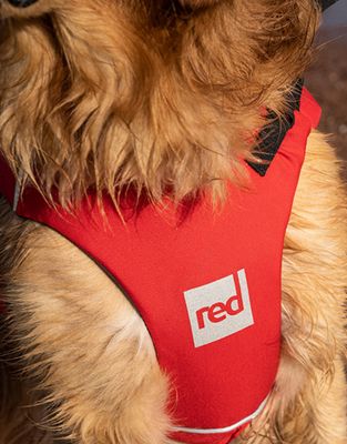 2024 RPC Original Dog PFD