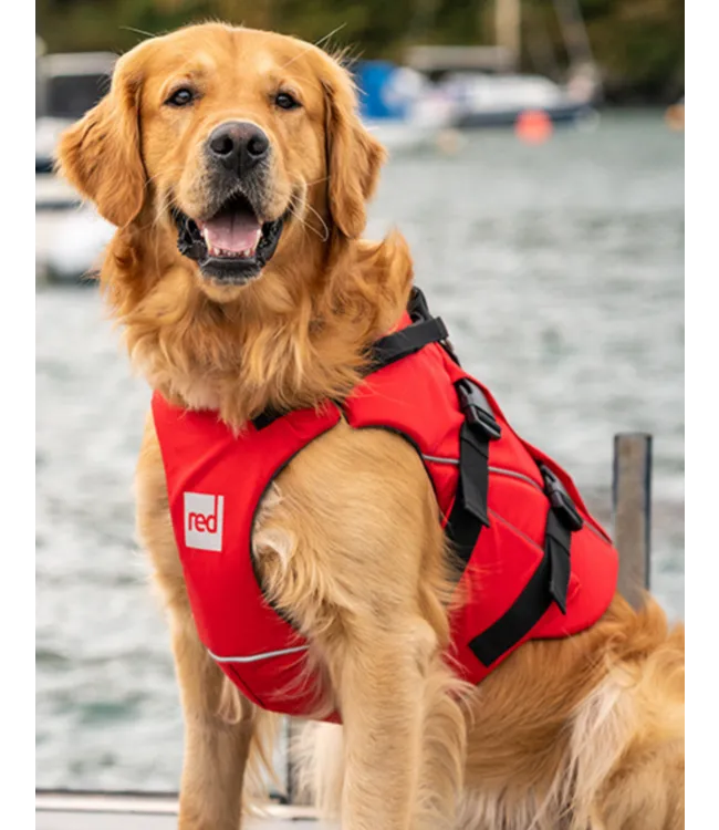 Dog Gear