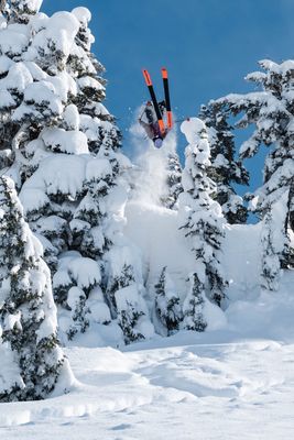 Women&#39;s Park Skis