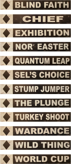 Okemo Trail Sign, Trail Name: Chief