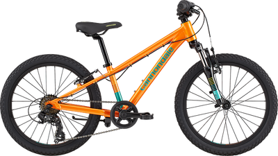 22 Cannondale 20 Kids Trail
