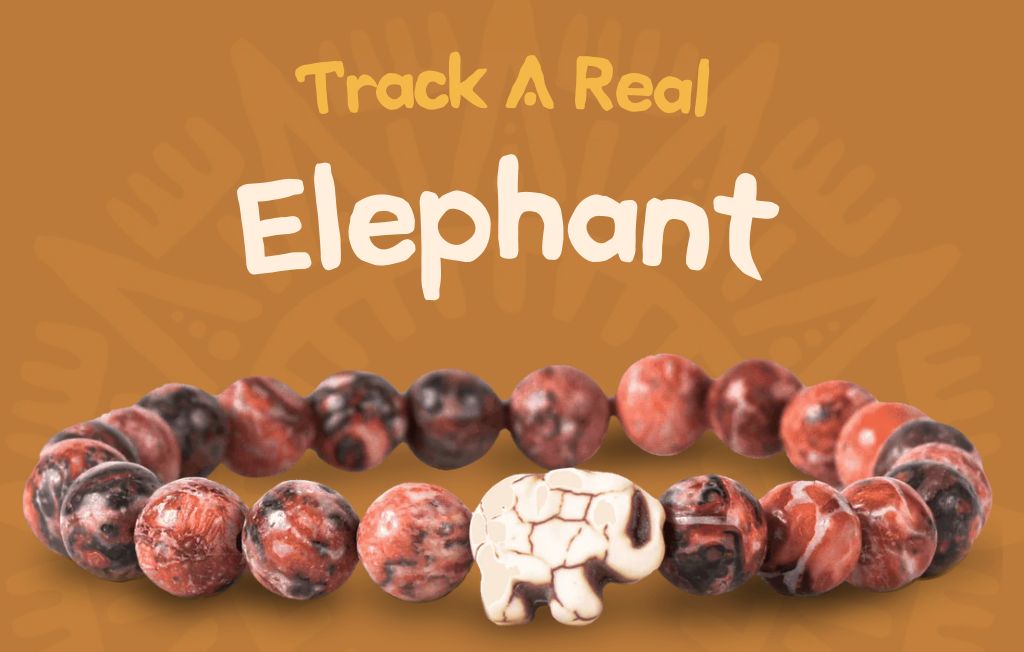 Fahlo Elephant Bracelet, Color: Desert Stone