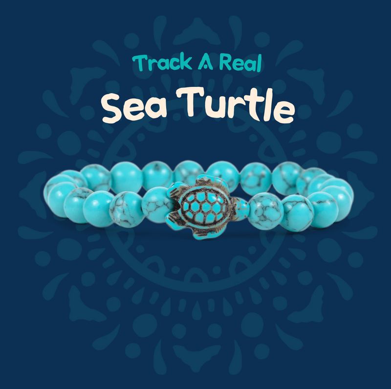 Fahlo Turtle Bracelet