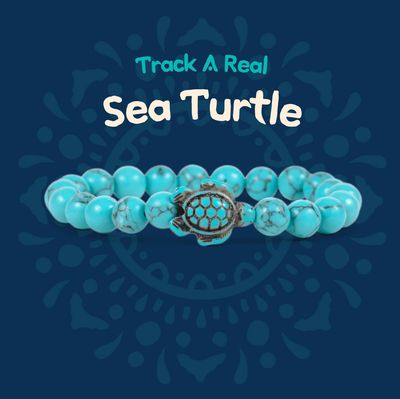 Fahlo Turtle Bracelet