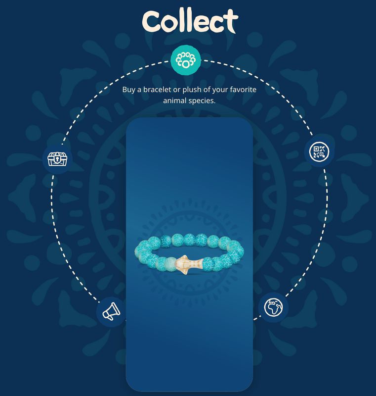 Fahlo Whale Shark Bracelet