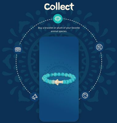 Fahlo Whale Shark Bracelet