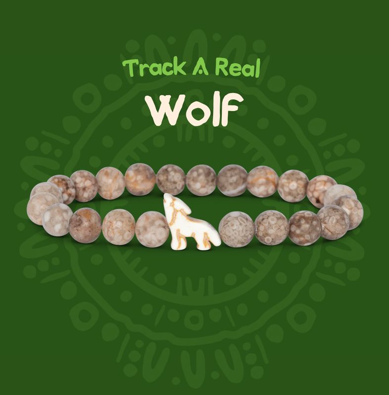 Fahlo Wolf Bracelet