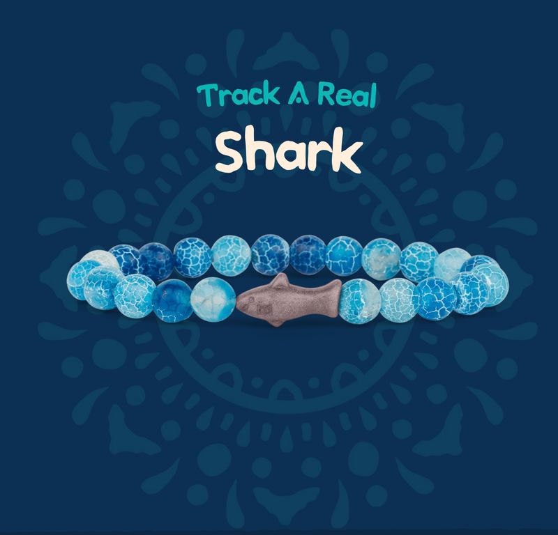 Fahlo Shark Bracelet