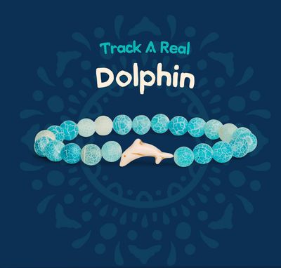 Fahlo Dolphin Bracelet