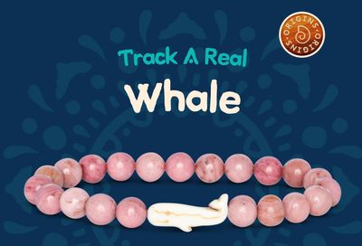 Fahlo Whale Bracelet