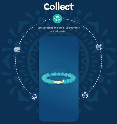Fahlo Whale Bracelet