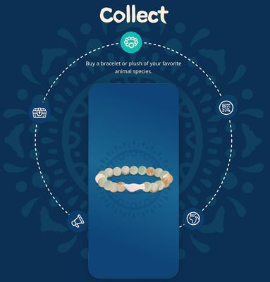 Fahlo Seal Bracelet