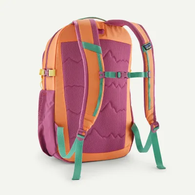 Patagonia Refugio Day Pack
