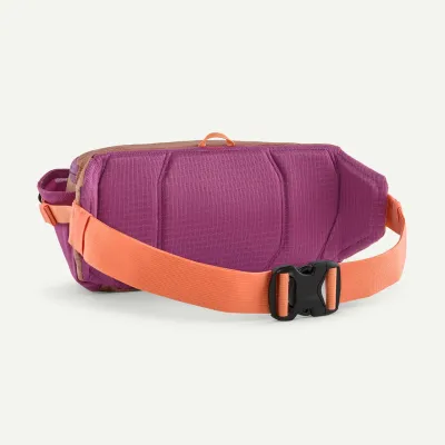 Patagonia Black Hole Waist Pack