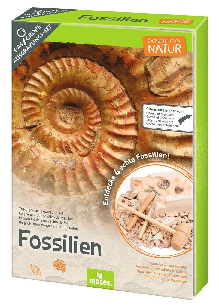 SALE Moses Expedition Natur - Das große Fossilien-Ausgrabungs-Set