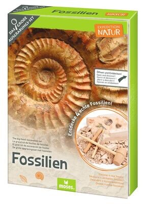 Moses Expedition Natur - Das große Fossilien-Ausgrabungs-Set