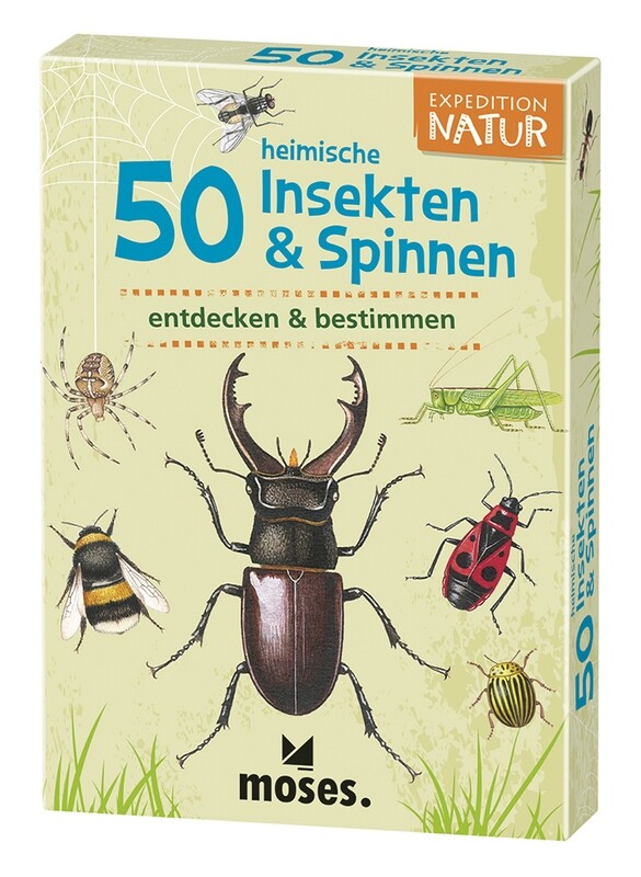 Moses Expedition Natur - 50 heimische Insekten &amp; Spinnen