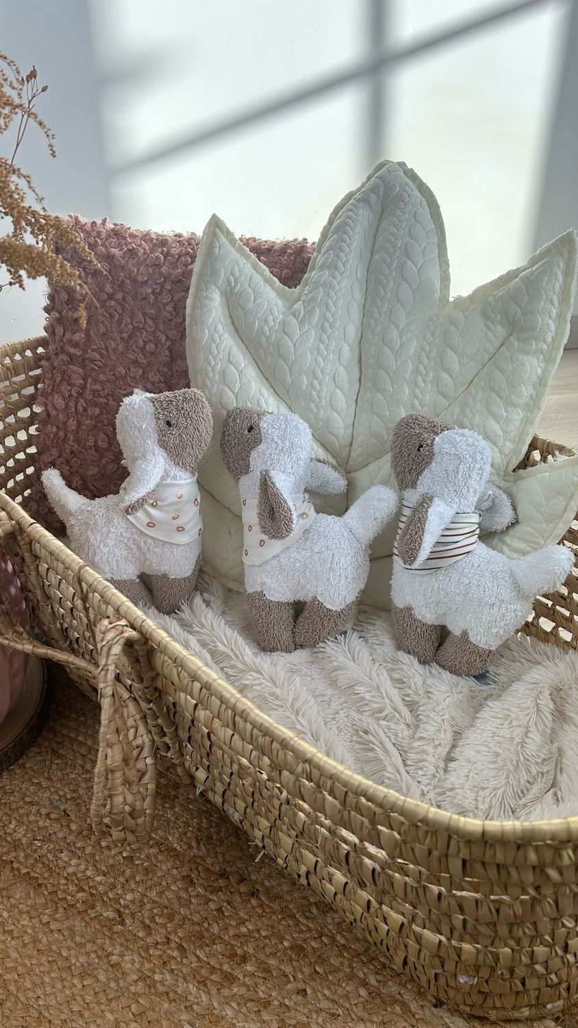 SOFORTVERKKAUF Schaf Lämmchen auch mit Namenszug