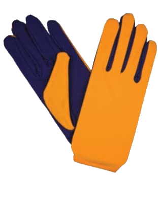 Purple and Gold gloves