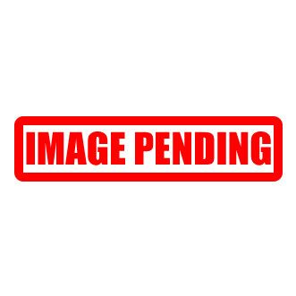 ASD 48-36 Tension Spring