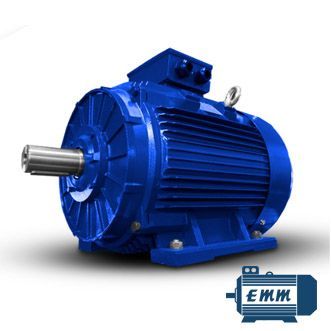 EM225S-4 EMM Squirrel Cage Motor