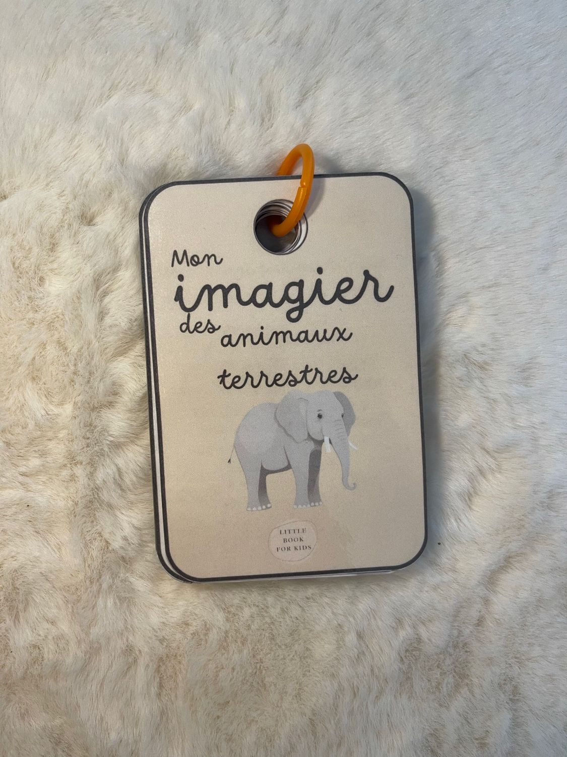Imagier des animaux terrestres PDF