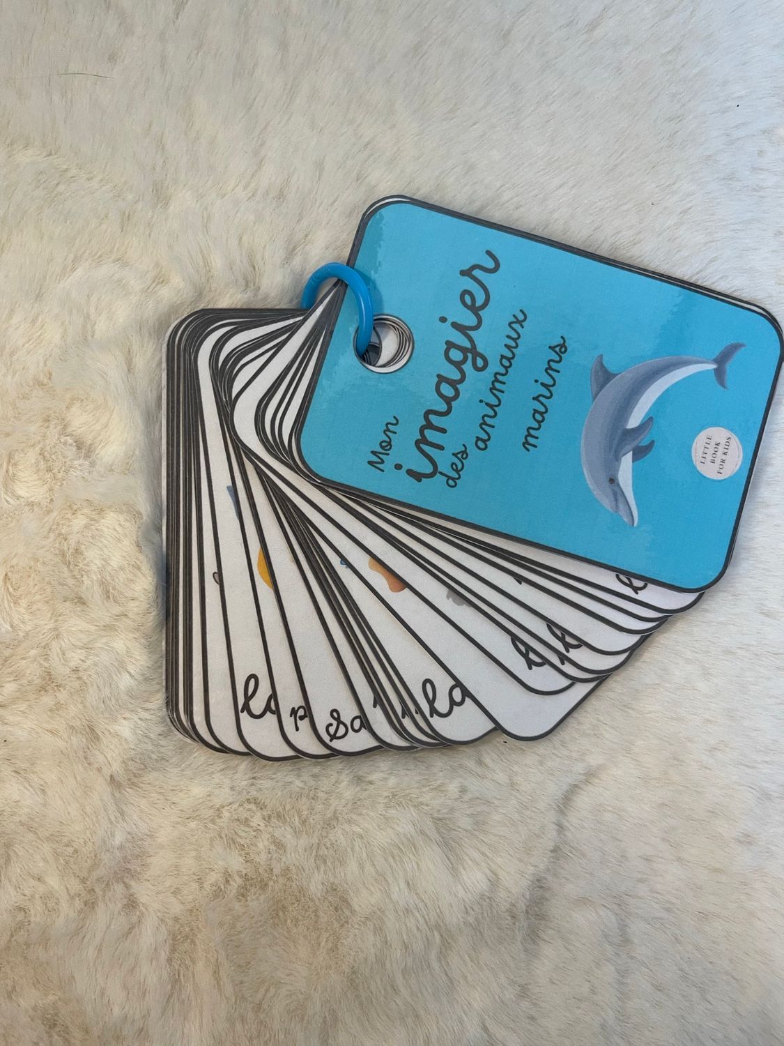 Imagier des animaux marins PDF