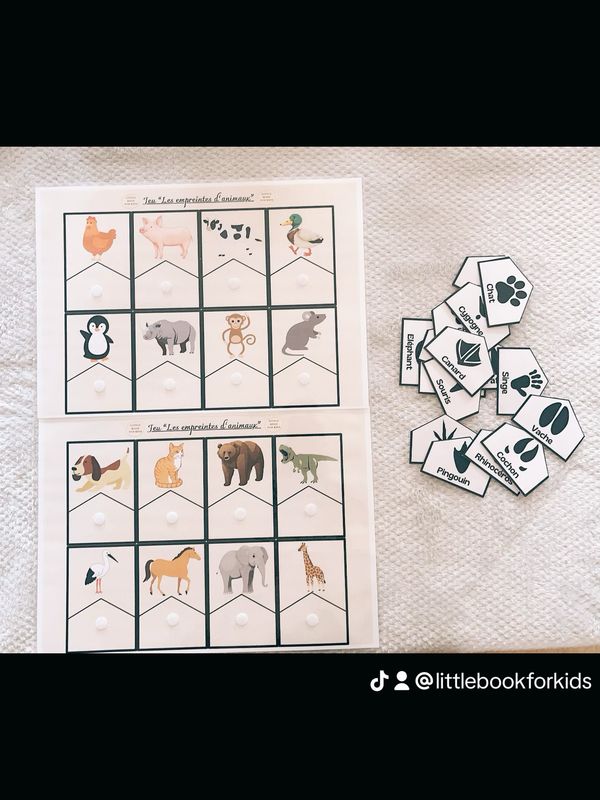Jeu « les empreintes d’animaux »