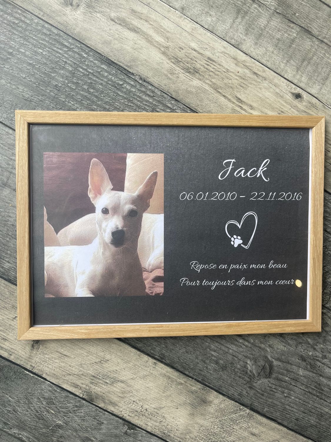 Cadre personnalisé - ANIMAL DE COMPAGNIE