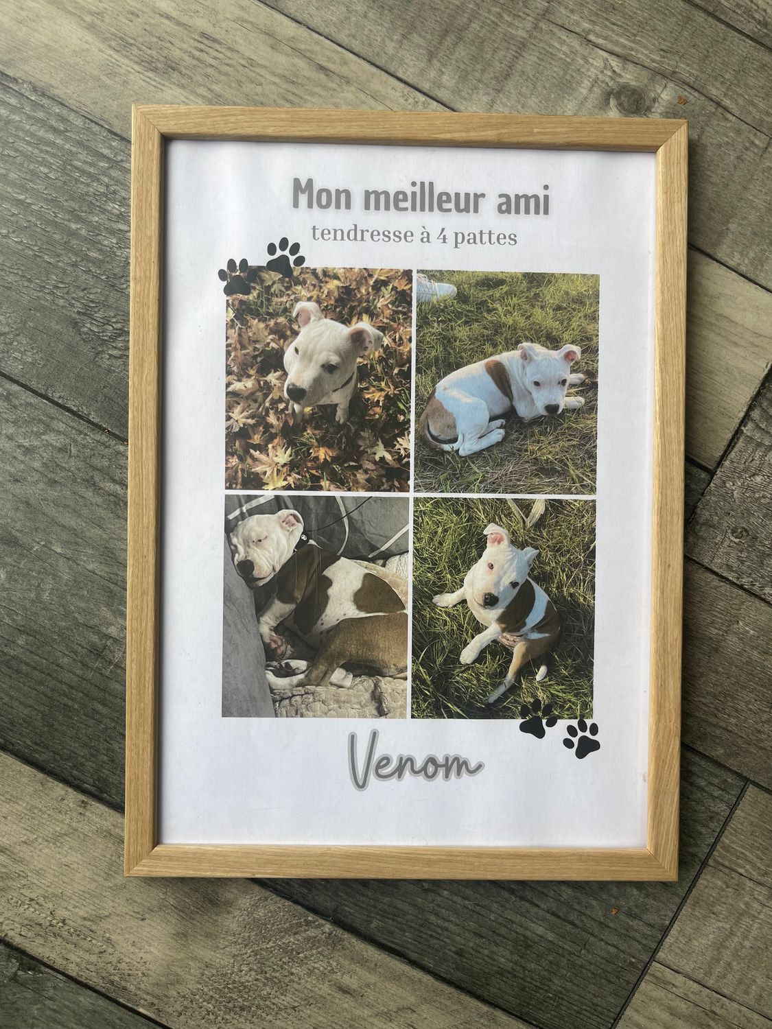 Cadre personnalisé - ANIMAL DE COMPAGNIE