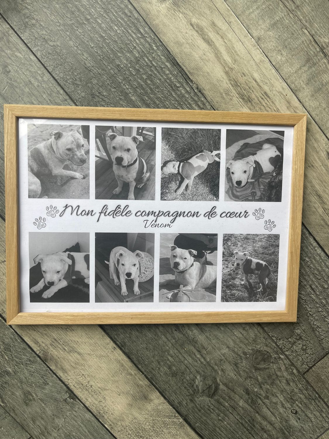 Cadre personnalisé - ANIMAL DE COMPAGNIE