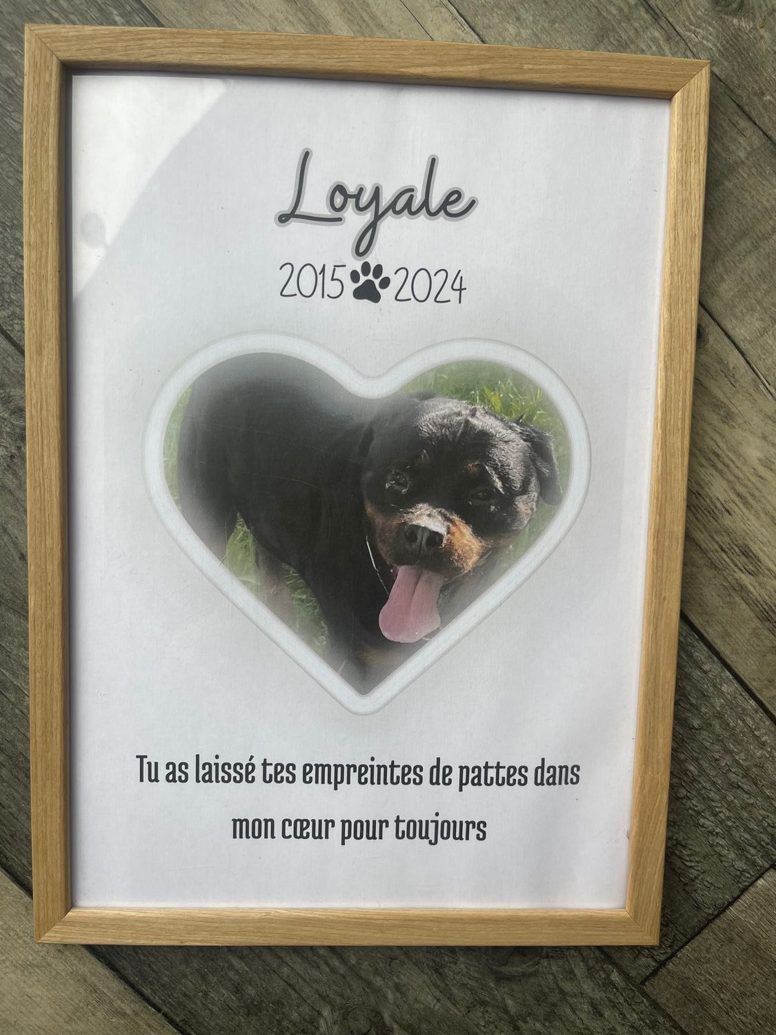 Cadre personnalisé - ANIMAL DE COMPAGNIE