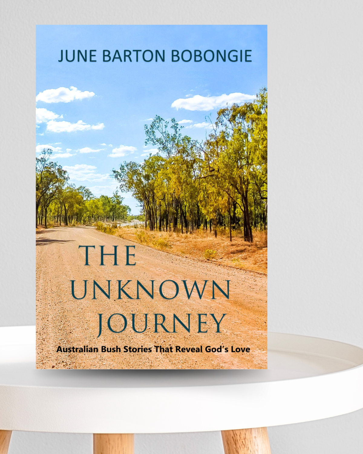 The Unknown Journey eBook