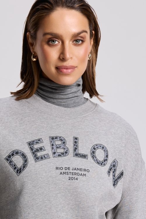 Cathy Sweater Grey Melange