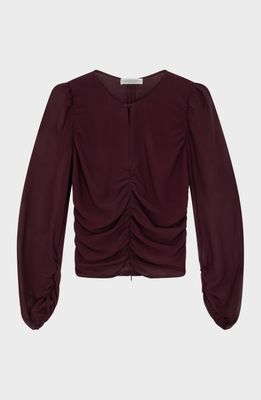 Icy Aubergine
