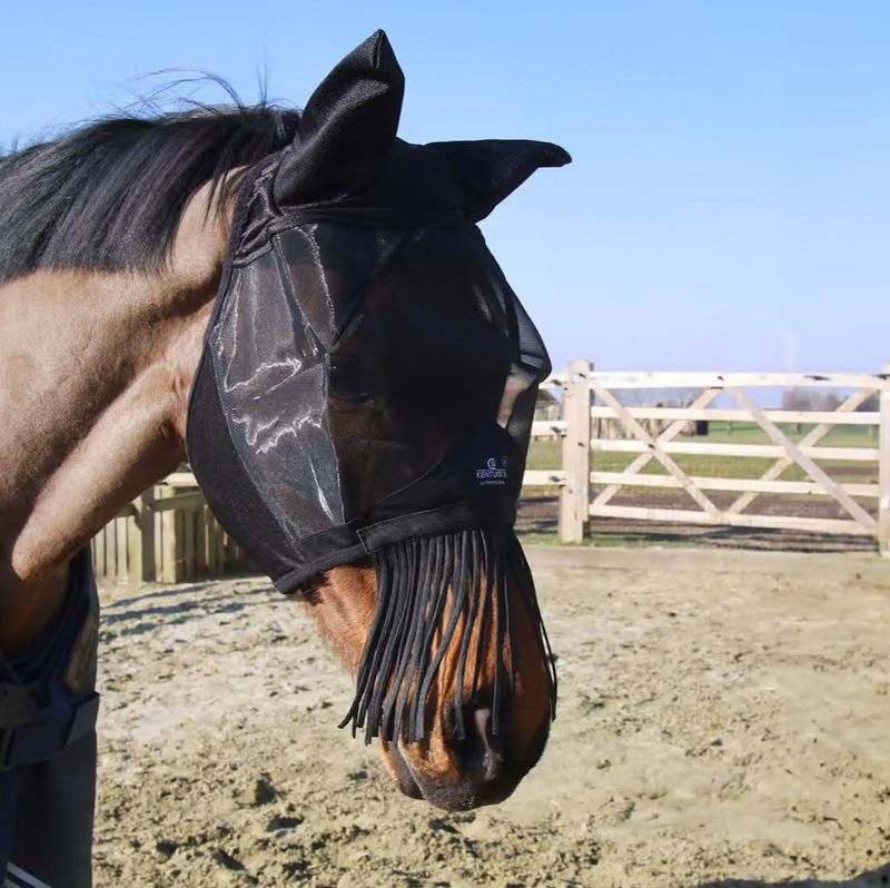Kentucky - Masque anti mouche à frange Noir