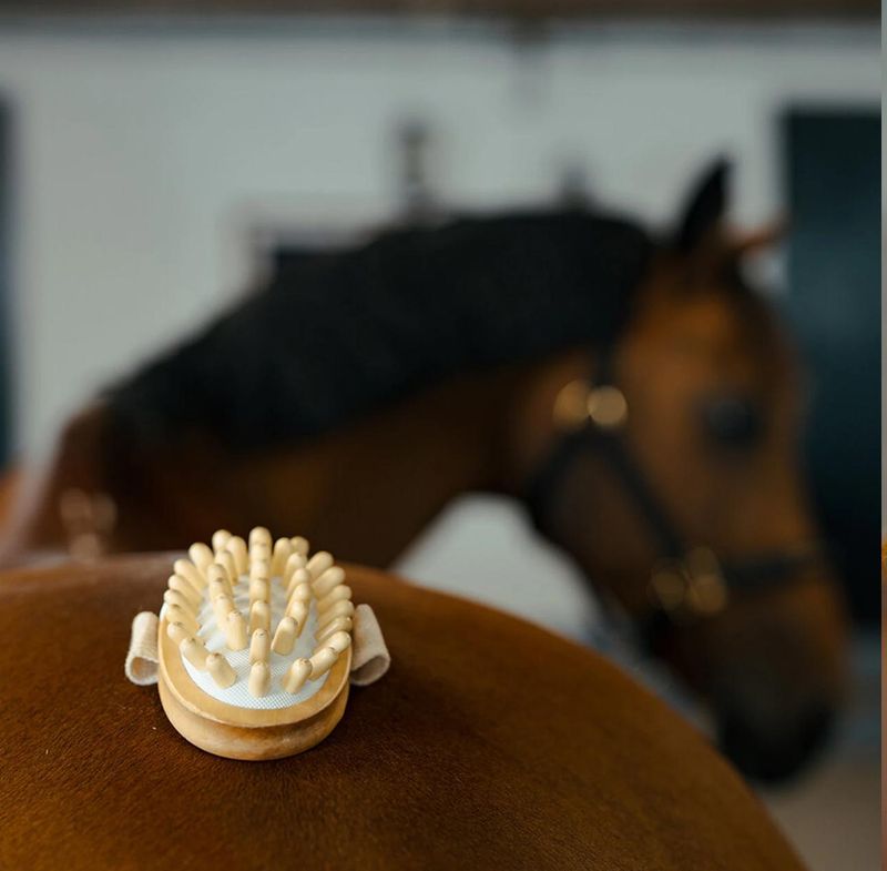 Borstiq Farm - Brosse de massage