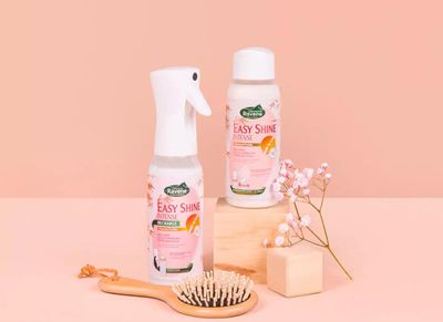 Ravene - Easy Shine Intense 500ml