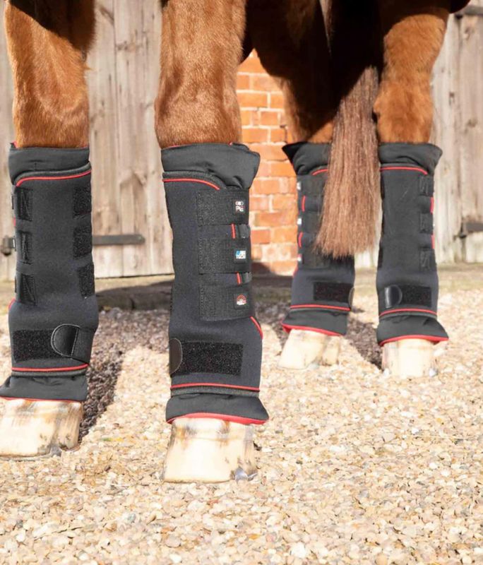 Premier Équine - Stable boots Infrarouge