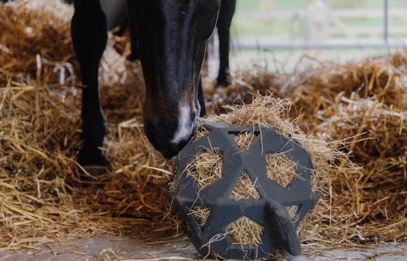 Kentucky - Balle de jeu / balle à foin