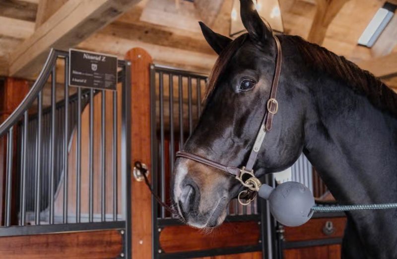 Kentucky - Balle de protection d’attache
