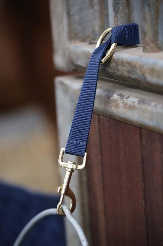 Kentucky - Lanière d’attache bleu marine