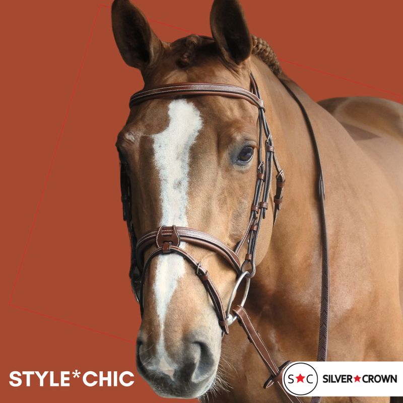 Silver Crown - Bridon Style Chic
