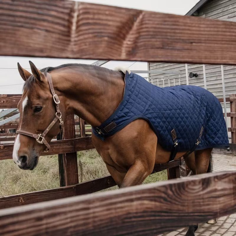 Kentucky - Couverture de Marcheur
