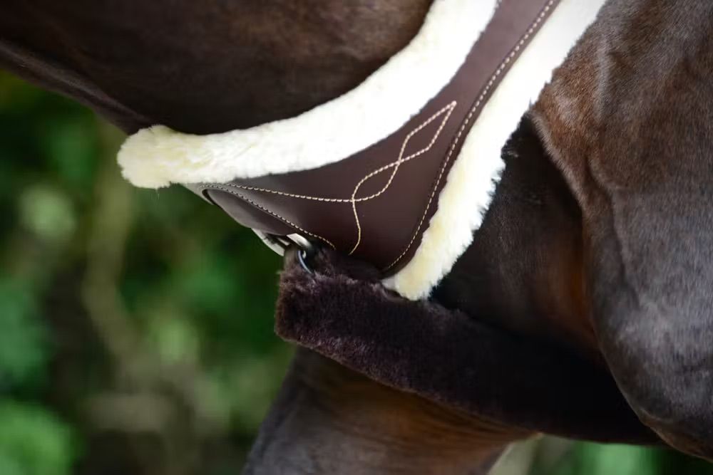 Kentucky - Sangle anatomique mouton